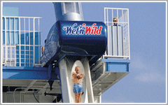 Wet n Wild Water Park Attractions